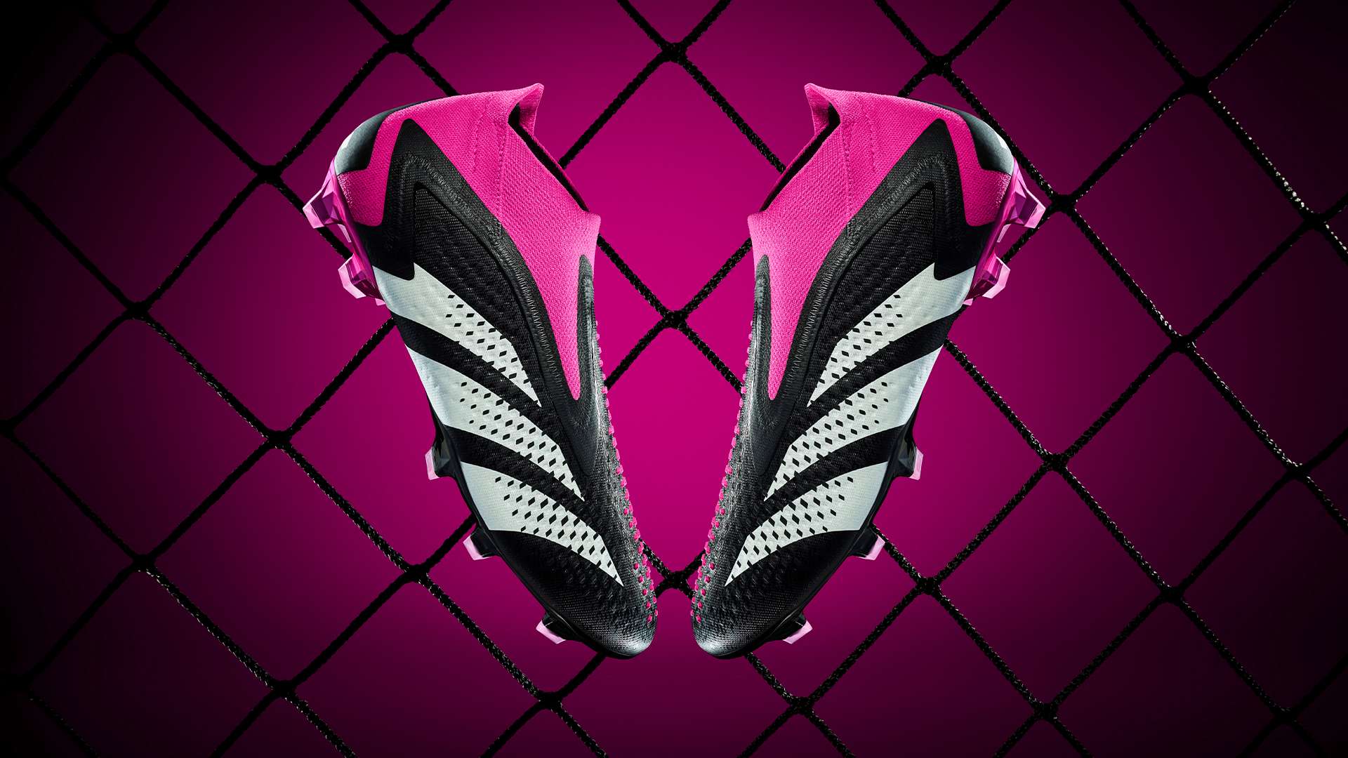 这也导致他 这也导致他